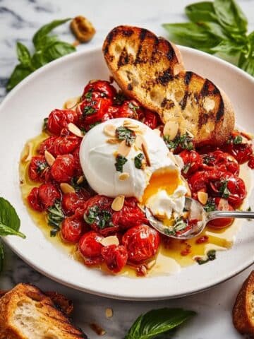 Braised Tomatoes with Burrata: A Summery Appetizer Recipe