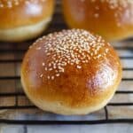 Homemade Hamburger Buns Recipe