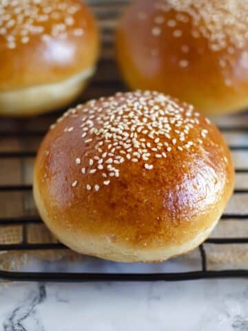 Homemade Hamburger Buns Recipe