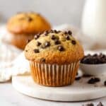 Gluten-Free Chocolate Chip Muffins Recipe