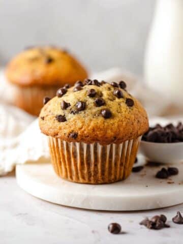 Gluten-Free Chocolate Chip Muffins Recipe