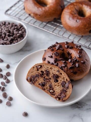 Double Chocolate Sourdough Bagels Recipe