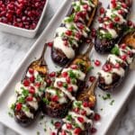 Middle Eastern Stuffed Eggplant Recipe