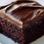Chocolate Craving Cake Recipe