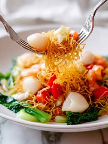 Seafood Pan-Fried Noodles Recipe