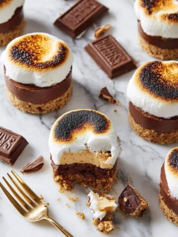 No-Bake S'mores Mini Cheesecakes Recipe