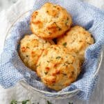 Gluten-Free Cheddar Protein Biscuits Recipe