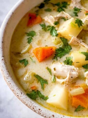 Chicken, Leek, and Potato Soup Recipe