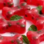 Watermelon Mint Frozen Dog Treats Recipe