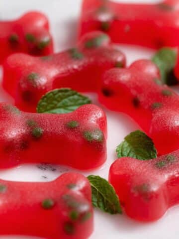Watermelon Mint Frozen Dog Treats Recipe