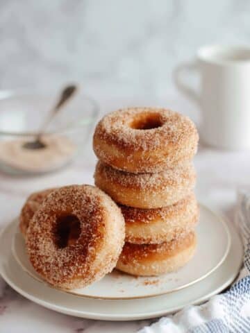 Baked Cinnamon Sugar Donuts Recipe